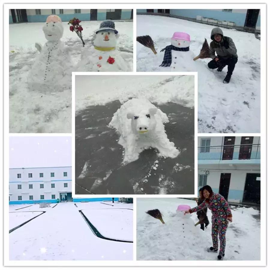 雪中美景雪景,雪中银装素裹美如画