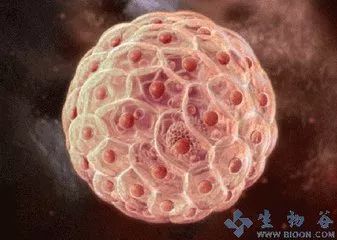 科普：皱纹成因，以及对抗方法