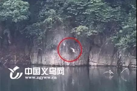 义乌人幸福的十大理由,义乌人最幸福的十个理由