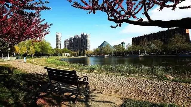 「滨海鲜闻」请回答，滨海2000-2018