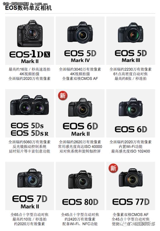 尼康镜头命名规则详解,尼康佳能命名规则