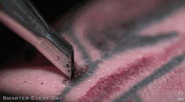 纹身的也是你，洗纹身的也是你！这些动图看完，我都替你疼……