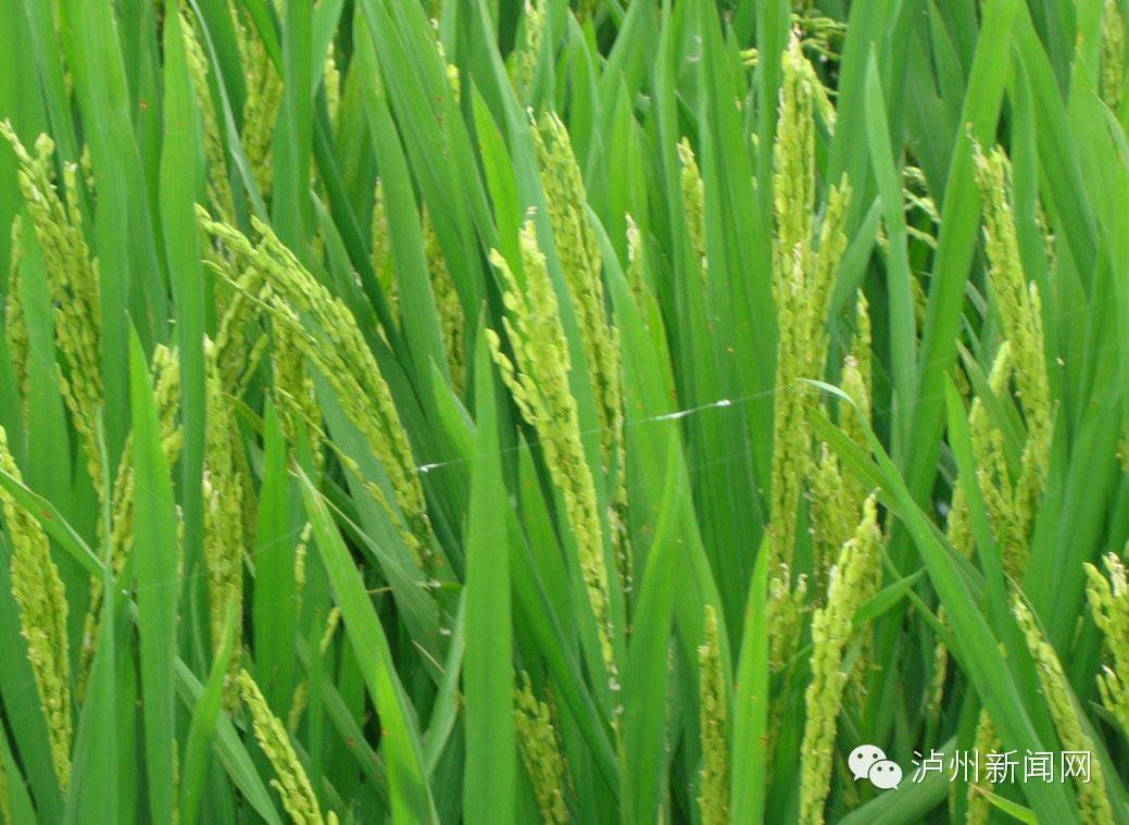 科普小松鼠有几个时间不宜洗澡；5个错误习惯让你长痘