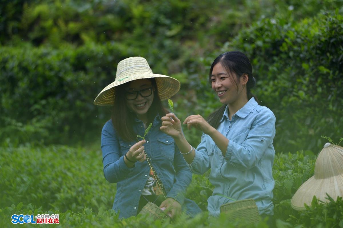 成都都江堰市达人探店,都江堰旅游达人
