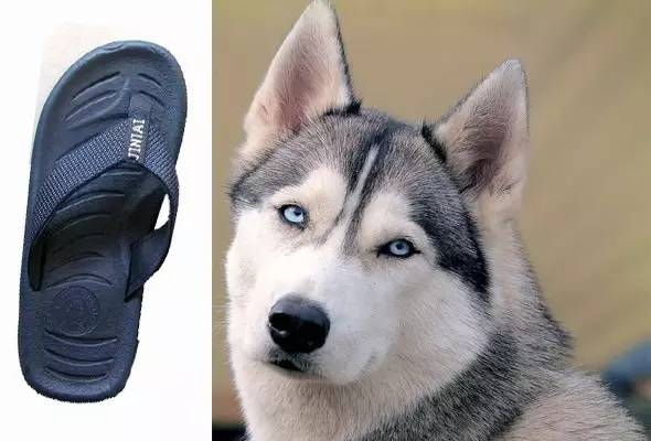 对付脾气暴躁的人的最佳方法,对付暴躁的人最好办法