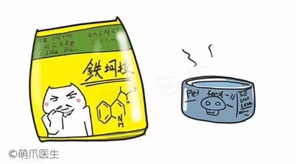 猫咪一直吃湿粮可以吗,猫粮干粮和湿粮能一起吃吗