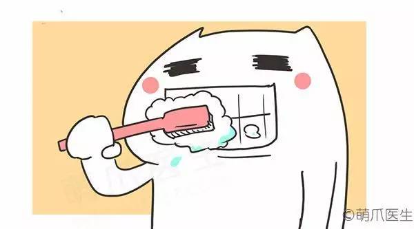 猫咪一直吃湿粮可以吗,猫粮干粮和湿粮能一起吃吗