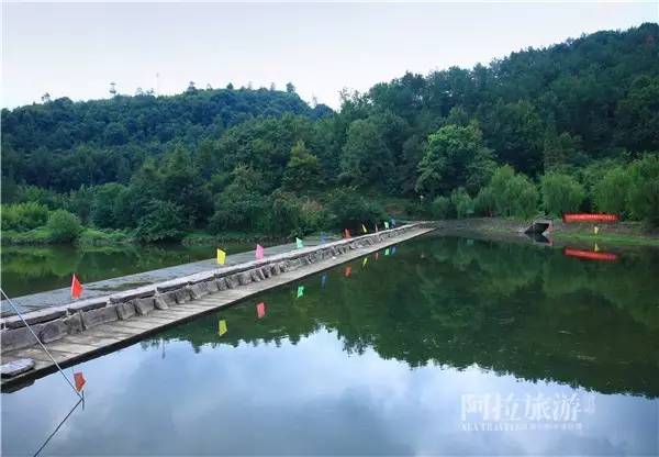 想喝上一杯好茶，绝对不能少了它|春日茶事1