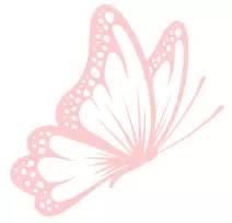 患有鼻窦炎患者的食疗方法,得了慢性鼻窦炎怎么日常护理