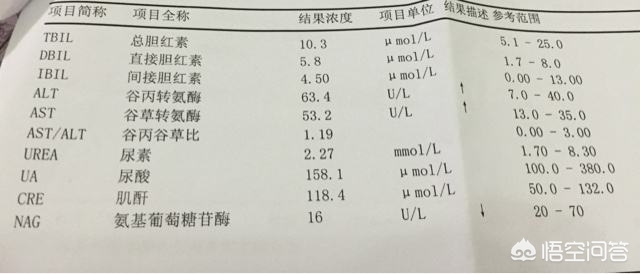 转氨酶高血脂高要关注什么,转氨酶高关注吃什么食物好
