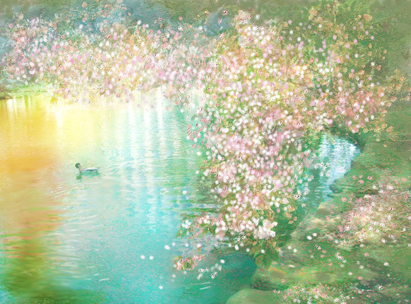 花开花落云卷云舒视频,花开花落云卷云舒什么意思