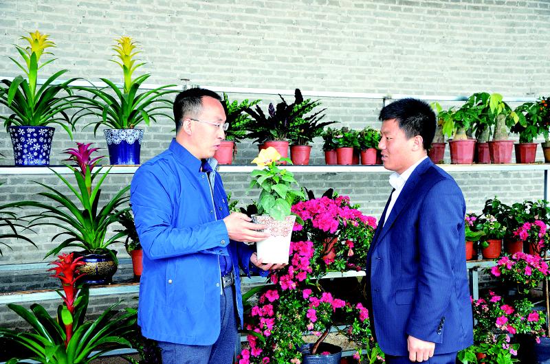 金融活水润泽金乡大地,引金融活水浇灌乡村沃土