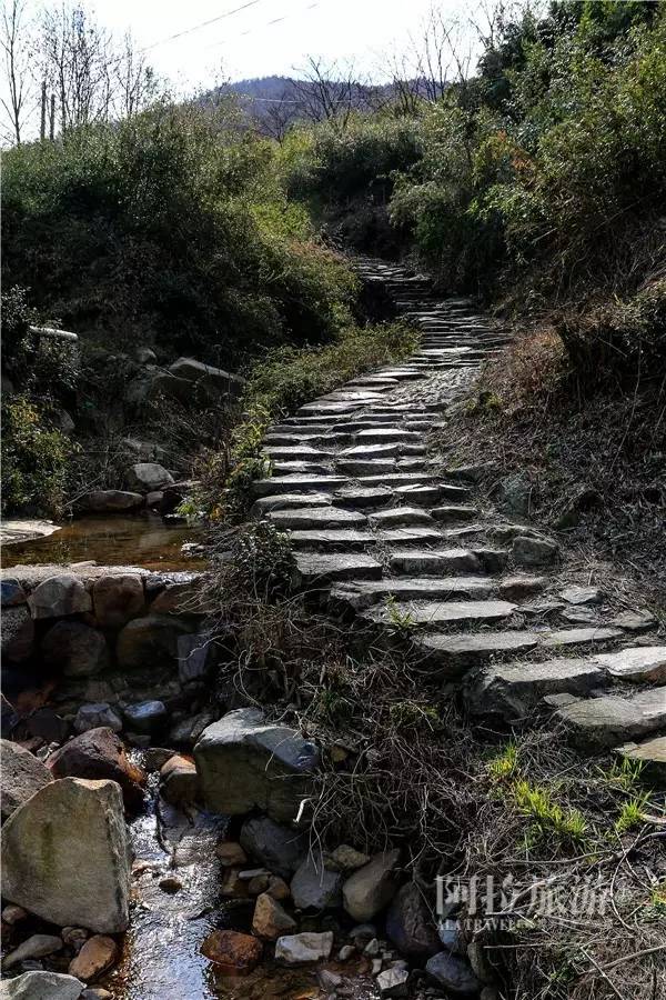 想喝上一杯好茶，绝对不能少了它|春日茶事1