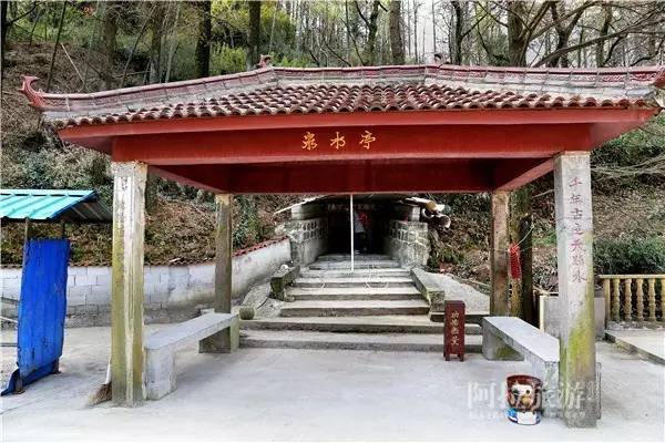 想喝上一杯好茶，绝对不能少了它|春日茶事1