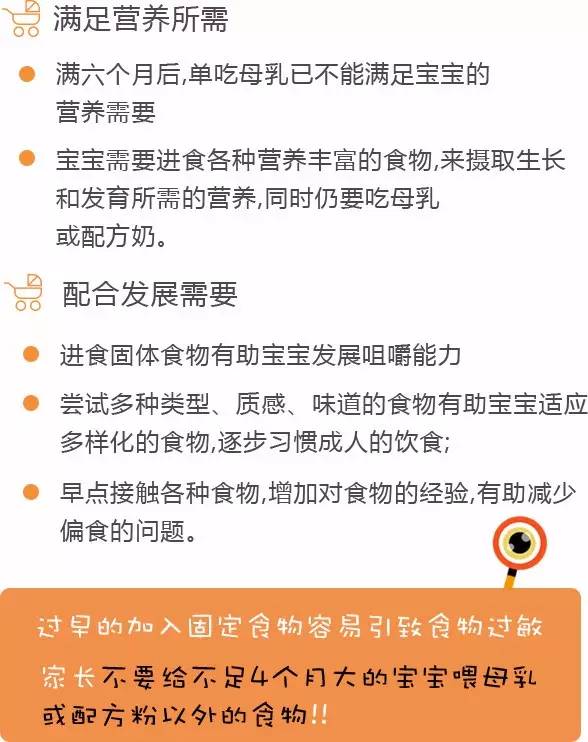 香港食物卫生署,香港七岁儿童早餐食谱