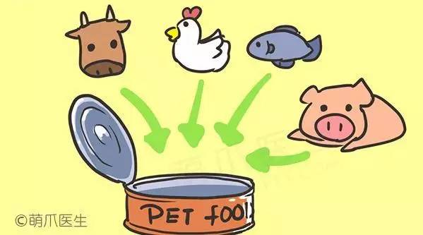 猫咪一直吃湿粮可以吗,猫粮干粮和湿粮能一起吃吗