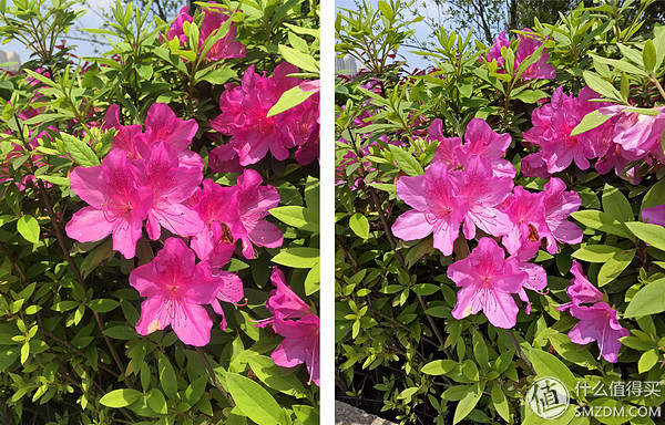 2018年oppor9厉害吗,oppor9详细测评