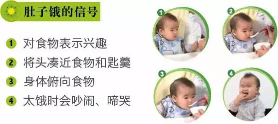 香港食物卫生署,香港七岁儿童早餐食谱