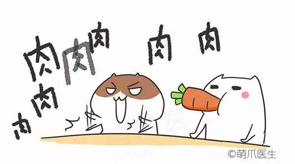 猫咪一直吃湿粮可以吗,猫粮干粮和湿粮能一起吃吗