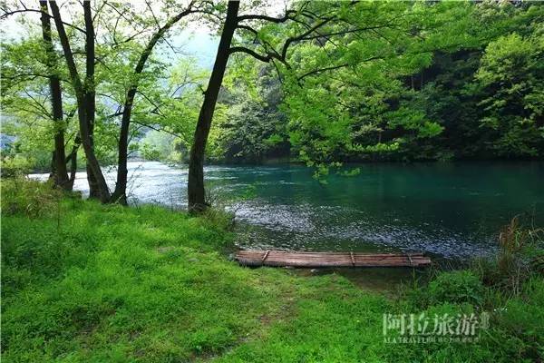 想喝上一杯好茶，绝对不能少了它|春日茶事1