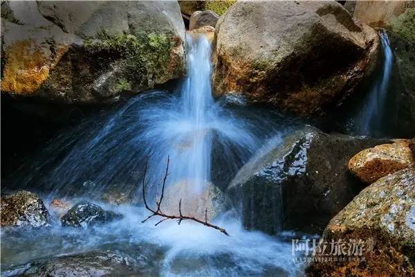 想喝上一杯好茶，绝对不能少了它|春日茶事1