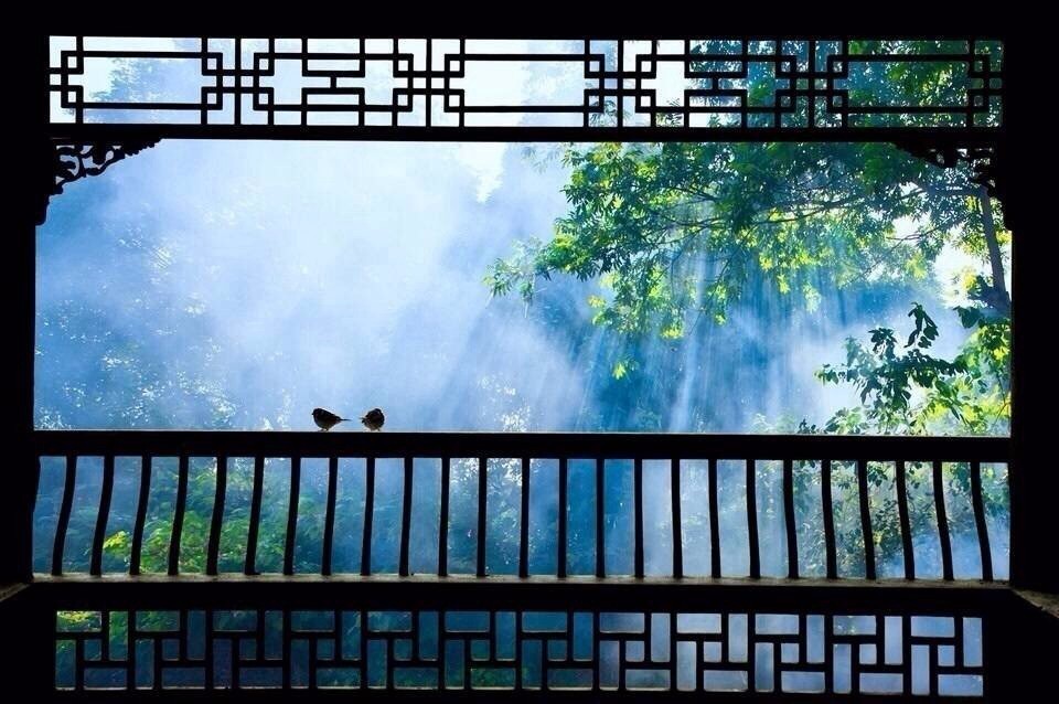 把你的心走过的路，说出来，就是诗啊