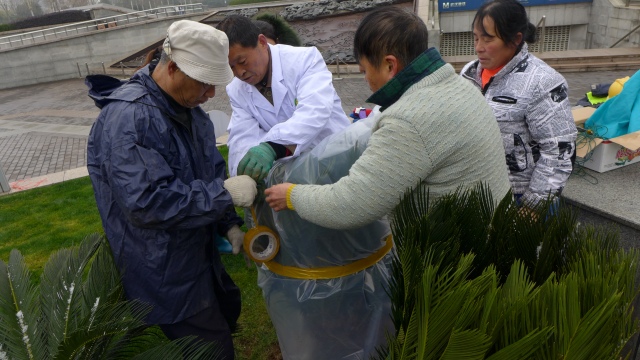 冻坏的花草还能救回来,冻伤的花草是否生长缓慢