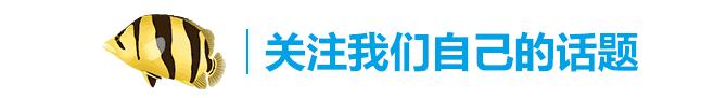 虎鱼的养殖视频讲座,虎鱼鱼苗喂养知识