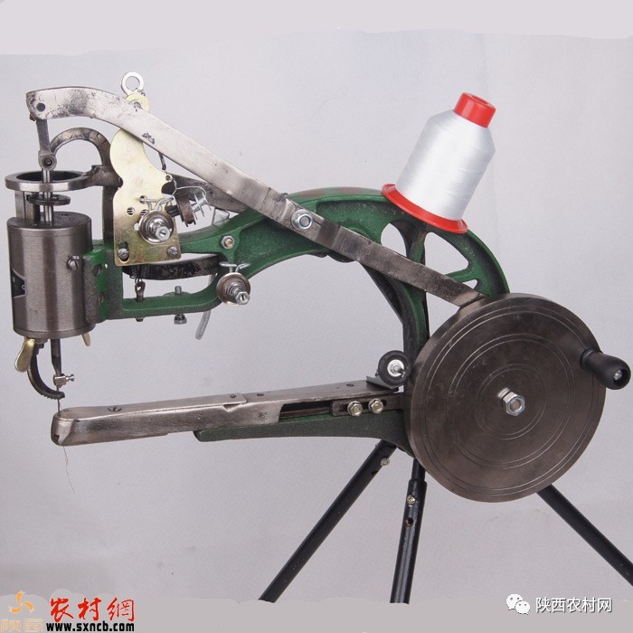 田建羊：天冷了不光要加衣更需要一碗驴丸粉汤