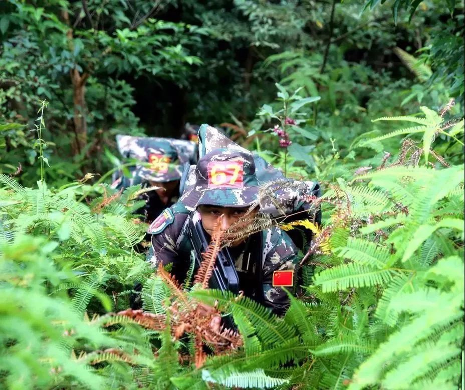 三栖特种兵需要哪些技能,三栖特种兵的要求