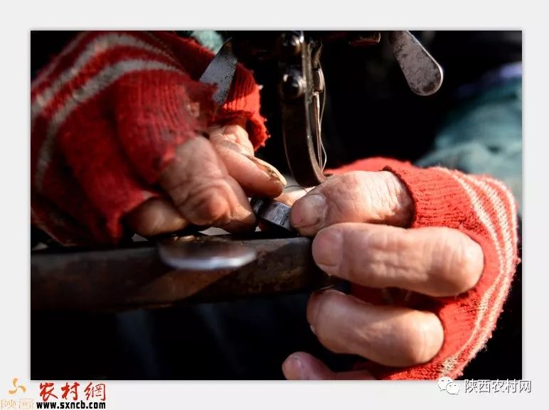 田建羊：天冷了不光要加衣更需要一碗驴丸粉汤