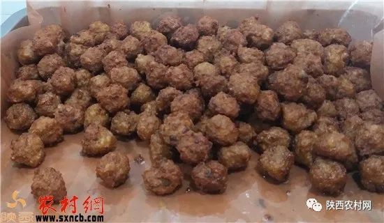 田建羊：天冷了不光要加衣更需要一碗驴丸粉汤