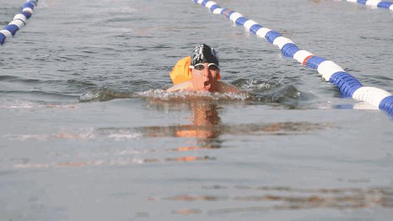 上海崇明马术锦标赛,迎新年环城长跑赛