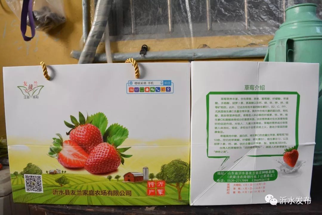 沂水妙香草莓,沂水草莓采摘园