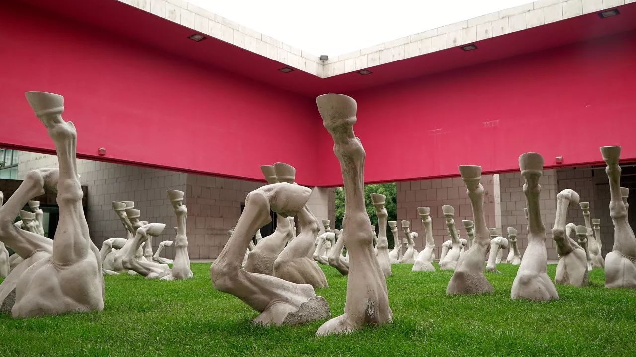 凤凰艺术,凤凰艺术是怎么来的