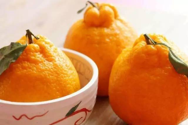 “果中爱马仕”！宁波这种本地桔子，店里一只卖20元！