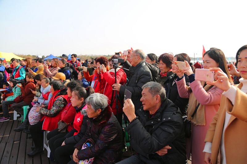 上海崇明马术锦标赛,迎新年环城长跑赛