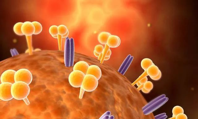 得了流感吃什么中成药好,食事药闻两法有答案么