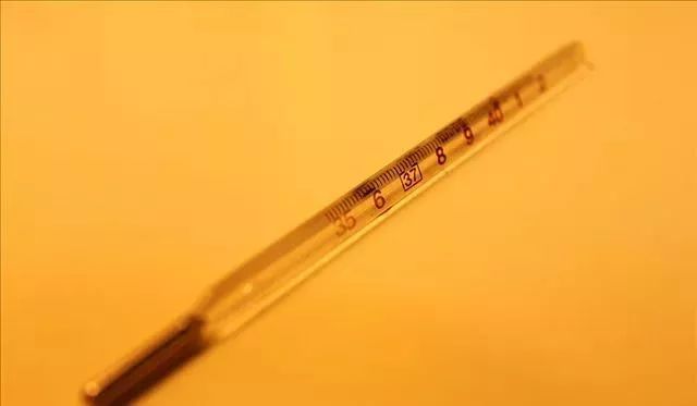 得了流感吃什么中成药好,食事药闻两法有答案么