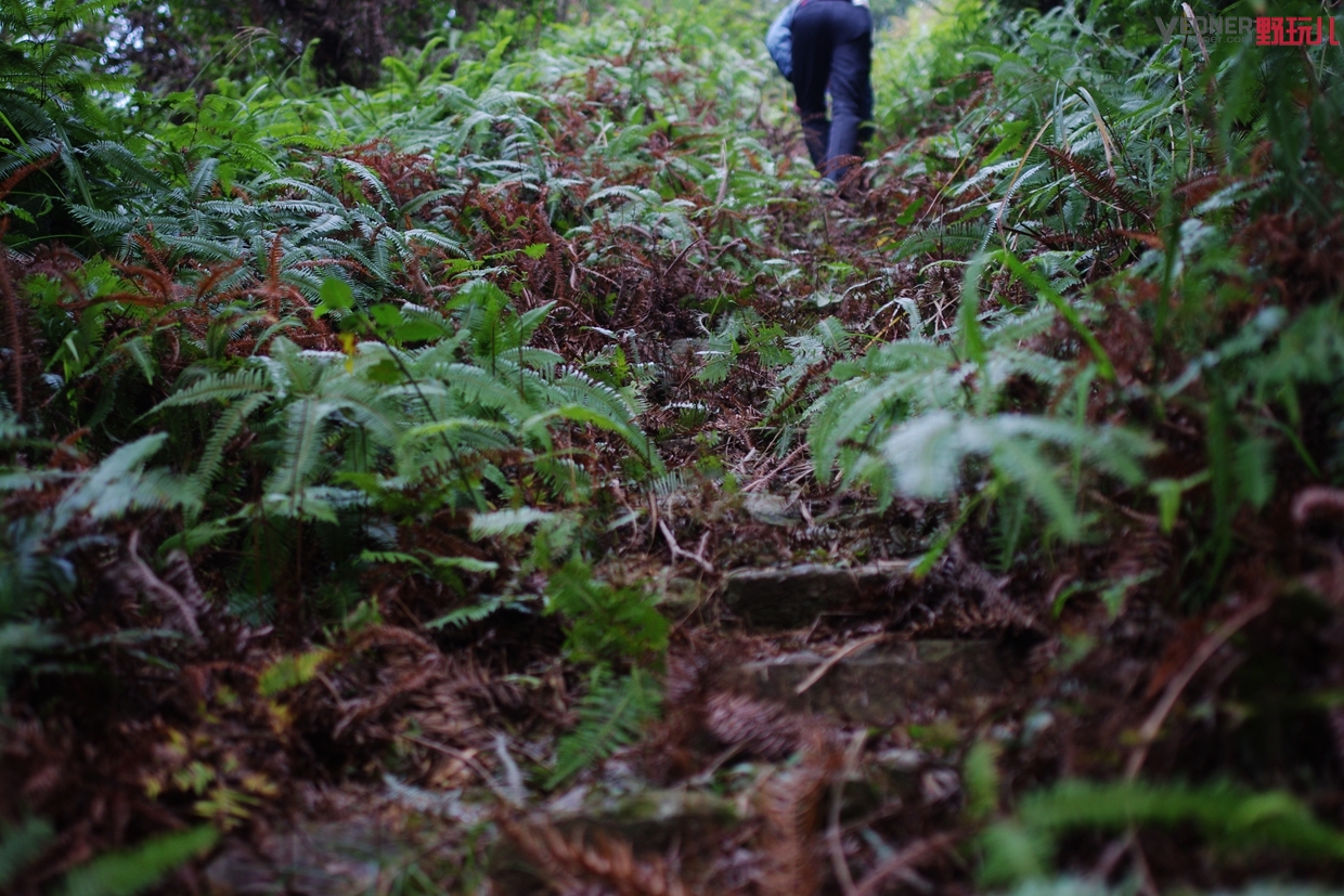 thenorthface徒步鞋推荐,北面的登山鞋实测