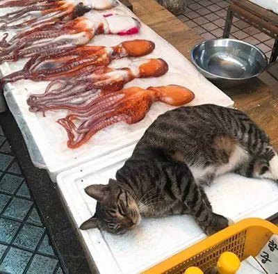 囧吐槽：看自己女朋友*裤内**怎么了