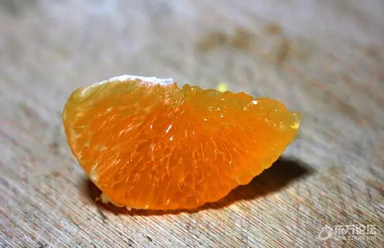 “果中爱马仕”！宁波这种本地桔子，店里一只卖20元！