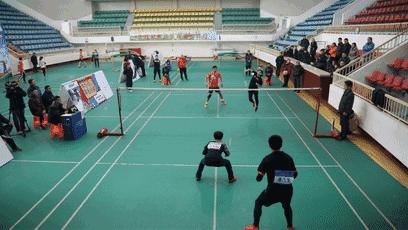 上海崇明马术锦标赛,迎新年环城长跑赛