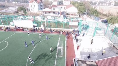 上海崇明马术锦标赛,迎新年环城长跑赛