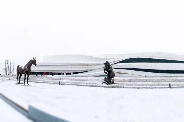 银川冬季风景优美的地方,银川冬天拍照好看的地方