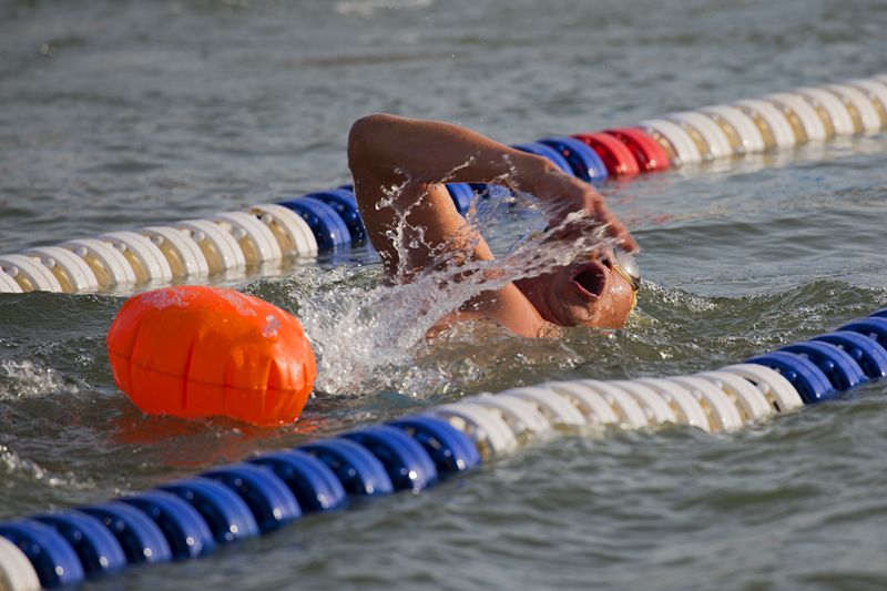 上海崇明马术锦标赛,迎新年环城长跑赛