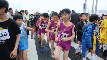 上海崇明马术锦标赛,迎新年环城长跑赛