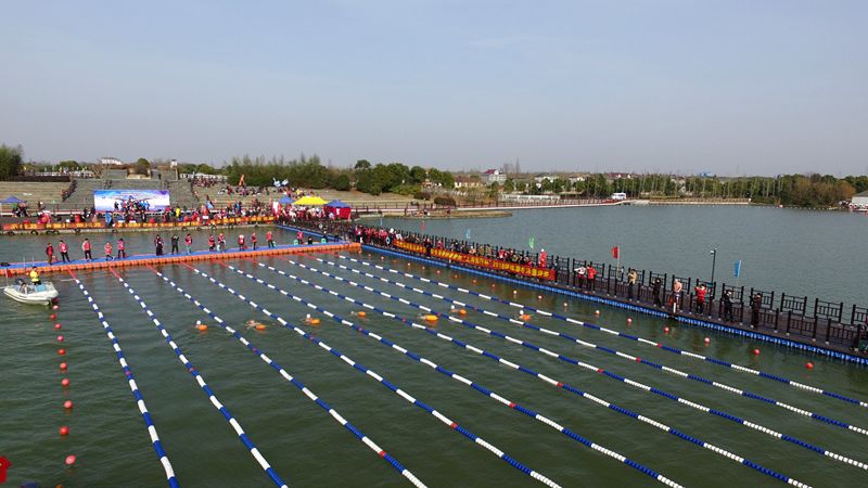 上海崇明马术锦标赛,迎新年环城长跑赛