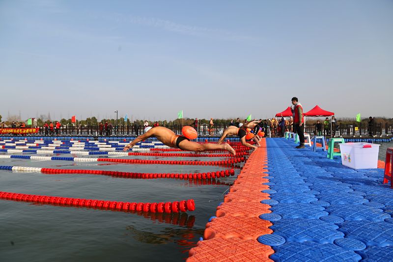 上海崇明马术锦标赛,迎新年环城长跑赛