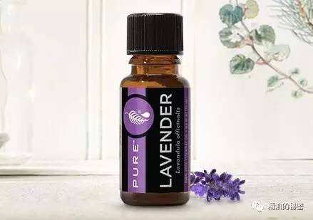 熏衣草精油的神奇功效与作用,薰衣草精油泡脚的功效与作用